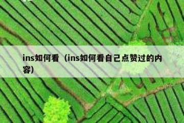ins如何看（ins如何看自己点赞过的内容）