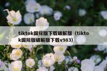 tiktok国际版下载破解版（tiktok国际版破解版下载v983）