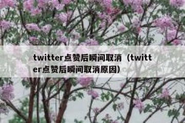 twitter点赞后瞬间取消（twitter点赞后瞬间取消原因）