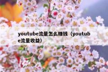 youtube流量怎么赚钱（youtube流量收益）