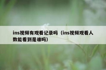 ins视频有观看记录吗（ins视频观看人数能看到是谁吗）