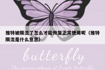 推特被限流了怎么才能恢复正常使用呢（推特限流是什么意思）