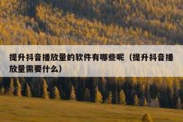 提升抖音播放量的软件有哪些呢（提升抖音播放量需要什么）