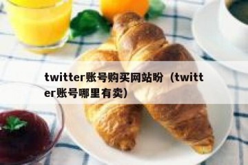 twitter账号购买网站盼（twitter账号哪里有卖）