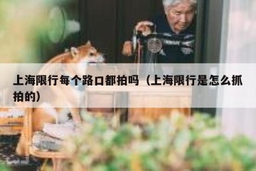 上海限行每个路口都拍吗（上海限行是怎么抓拍的）