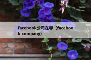 facebook公司在哪（facebook company）