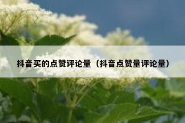 抖音买的点赞评论量（抖音点赞量评论量）