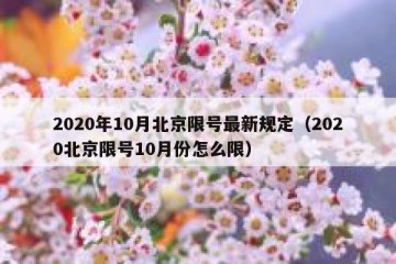 2020年10月北京限号最新规定（2020北京限号10月份怎么限）