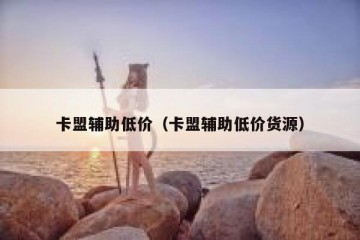 卡盟辅助低价（卡盟辅助低价货源）