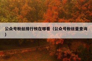 公众号粉丝排行榜在哪看（公众号粉丝量查询）