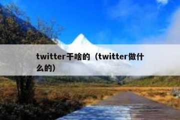 twitter干啥的（twitter做什么的）