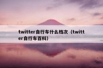 twitter自行车什么档次（twitter自行车百科）