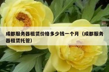 成都服务器租赁价格多少钱一个月（成都服务器租赁托管）