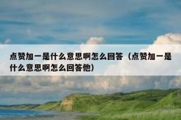点赞加一是什么意思啊怎么回答（点赞加一是什么意思啊怎么回答他）