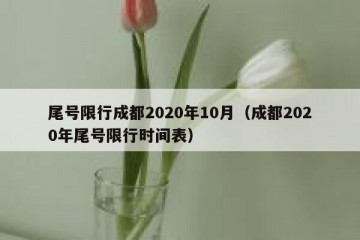 尾号限行成都2020年10月（成都2020年尾号限行时间表）