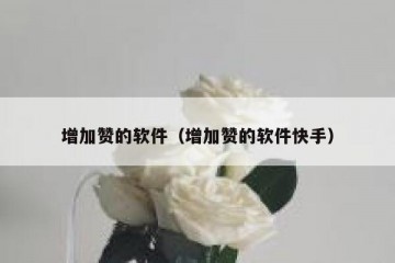 增加赞的软件（增加赞的软件快手）