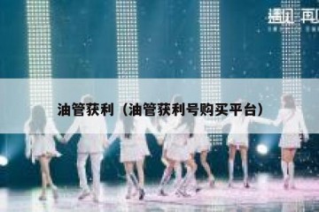 油管获利（油管获利号购买平台）
