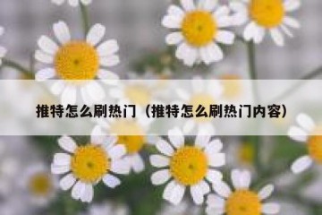 推特怎么刷热门（推特怎么刷热门内容）