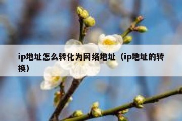 ip地址怎么转化为网络地址（ip地址的转换）