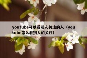 youtube可以看别人关注的人（youtube怎么看别人的关注）