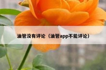 油管没有评论（油管app不能评论）