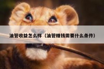 油管收益怎么样（油管赚钱需要什么条件）