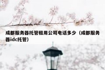 成都服务器托管租用公司电话多少（成都服务器idc托管）