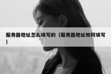 服务器地址怎么填写的（服务器地址如何填写）
