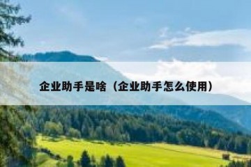 企业助手是啥（企业助手怎么使用）