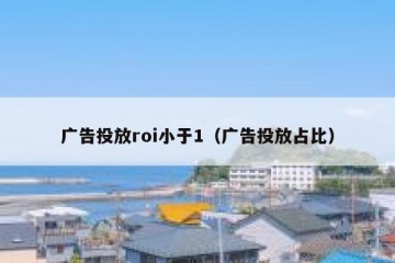 广告投放roi小于1（广告投放占比）