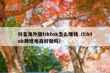 抖音海外版tiktok怎么赚钱（tiktok跨境电商好做吗）