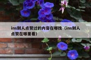 ins别人点赞过的内容在哪找（ins别人点赞在哪里看）
