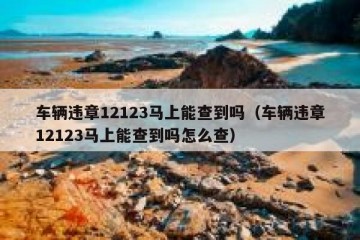 车辆违章12123马上能查到吗（车辆违章12123马上能查到吗怎么查）