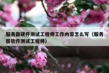 服务器硬件测试工程师工作内容怎么写（服务器软件测试工程师）