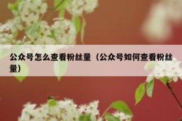 公众号怎么查看粉丝量（公众号如何查看粉丝量）