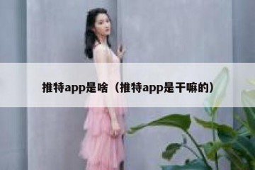 推特app是啥（推特app是干嘛的）