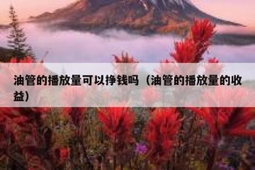 油管的播放量可以挣钱吗（油管的播放量的收益）