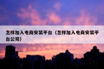 怎样加入电商安装平台（怎样加入电商安装平台公司）