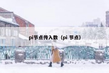 pi节点传入数（pi 节点）