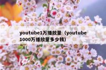 youtube1万播放量（youtube1000万播放量多少钱）