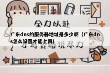 广东dns的服务器地址是多少啊（广东dns怎么设置才能上网）