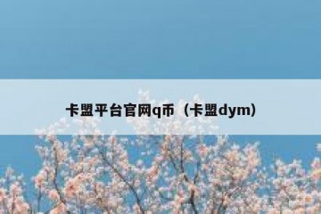 卡盟平台官网q币（卡盟dym）