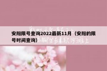 安阳限号查询2022最新11月（安阳的限号时间查询）