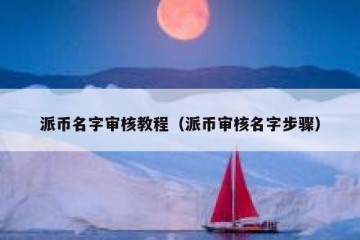 派币名字审核教程（派币审核名字步骤）