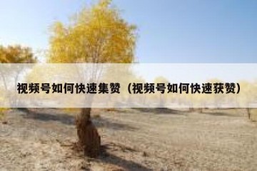 视频号如何快速集赞（视频号如何快速获赞）