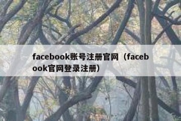 facebook账号注册官网（facebook官网登录注册）