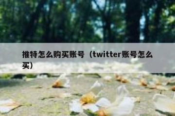 推特怎么购买账号（twitter账号怎么买）