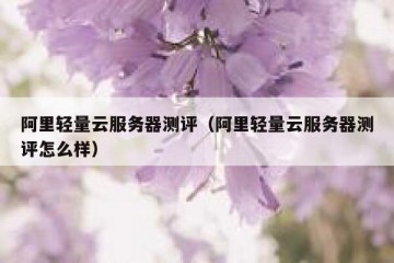 阿里轻量云服务器测评（阿里轻量云服务器测评怎么样）
