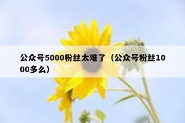 公众号5000粉丝太难了（公众号粉丝1000多么）