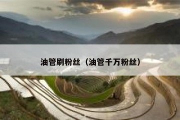 油管刷粉丝（油管千万粉丝）